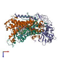 PDB entry 1rg5 coloured by chain, top view.