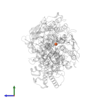 FE (III) ION in PDB entry 1rg5, assembly 1, side view.