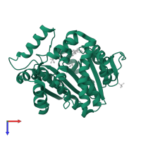 Leucine carboxyl methyltransferase 1 in PDB entry 1rje, assembly 1, top view.