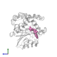 S-ADENOSYL-L-HOMOCYSTEINE in PDB entry 1rje, assembly 1, side view.