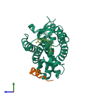 PDB entry 1rjk coloured by chain, side view.