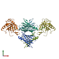 PDB entry 1rlb coloured by chain, front view.