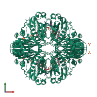 Homo tetrameric assembly 1 of PDB entry 1rm3 coloured by chemically distinct molecules, front view.