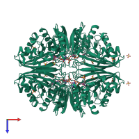 Homo tetrameric assembly 1 of PDB entry 1rm3 coloured by chemically distinct molecules, top view.