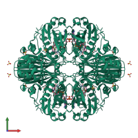 Homo tetrameric assembly 2 of PDB entry 1rm3 coloured by chemically distinct molecules, front view.