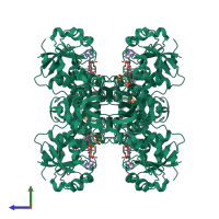 Homo tetrameric assembly 2 of PDB entry 1rm3 coloured by chemically distinct molecules, side view.