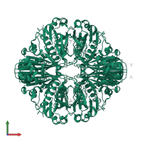 Glyceraldehyde-3-phosphate dehydrogenase A, chloroplastic in PDB entry 1rm3, assembly 1, front view.