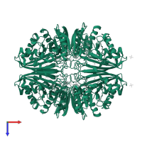 Glyceraldehyde-3-phosphate dehydrogenase A, chloroplastic in PDB entry 1rm3, assembly 1, top view.