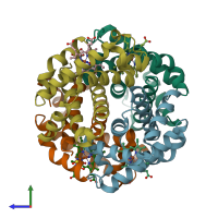 PDB entry 1rq4 coloured by chain, side view.