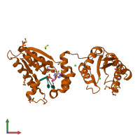 3D model of 1rrc from PDBe