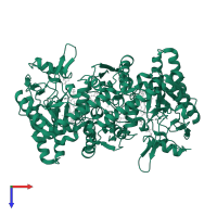 Nitric oxide synthase 1 in PDB entry 1rs6, assembly 1, top view.