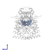 PROTOPORPHYRIN IX CONTAINING FE in PDB entry 1rs6, assembly 1, side view.