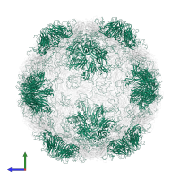 Capsid protein VP1 in PDB entry 1ruc, assembly 1, side view.