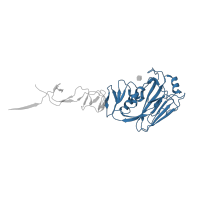 The deposited structure of PDB entry 1rvt contains 3 copies of CATH domain 3.90.209.20 (Hemagglutinin (Ha1 Chain); Chain: A; domain 1) in Hemagglutinin. Showing 1 copy in chain A [auth H].