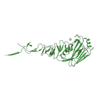 The deposited structure of PDB entry 1rvt contains 3 copies of Pfam domain PF00509 (Haemagglutinin) in Hemagglutinin. Showing 1 copy in chain A [auth H].