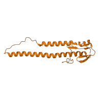 The deposited structure of PDB entry 1rvt contains 3 copies of CATH domain 3.90.20.10 (Hemagglutinin Ectodomain; Chain B) in Hemagglutinin HA2 chain. Showing 1 copy in chain B [auth I].