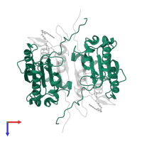 Caspase-1 subunit p20 in PDB entry 1rwm, assembly 1, top view.