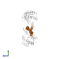 Rho-associated protein kinase 1 in PDB entry 1s1c, assembly 1, side view.