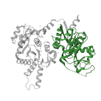 The deposited structure of PDB entry 1s1m contains 2 copies of Pfam domain PF00117 (Glutamine amidotransferase class-I) in CTP synthase. Showing 1 copy in chain B.