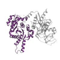The deposited structure of PDB entry 1s1m contains 2 copies of Pfam domain PF06418 (CTP synthase N-terminus) in CTP synthase. Showing 1 copy in chain B.