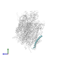 Photosystem II PsbN protein in PDB entry 1s5l, assembly 1, side view.