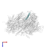 Photosystem II PsbN protein in PDB entry 1s5l, assembly 1, top view.