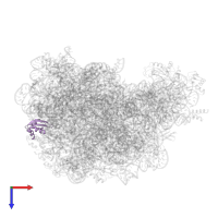 Large ribosomal subunit protein uL23 in PDB entry 1s72, assembly 1, top view.