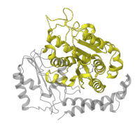 The deposited structure of PDB entry 1sa0 contains 2 copies of SCOP domain 52491 (Tubulin, GTPase domain) in Tubulin alpha-1D chain. Showing 1 copy in chain A.