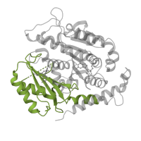 The deposited structure of PDB entry 1sa0 contains 2 copies of Pfam domain PF03953 (Tubulin C-terminal domain) in Tubulin beta-2B chain. Showing 1 copy in chain B.