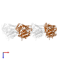 Tubulin beta-2B chain in PDB entry 1sa0, assembly 1, top view.