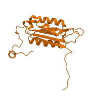 The deposited structure of PDB entry 1sc4 contains 1 copy of SCOP domain 52130 (Caspase catalytic domain) in Caspase-1 subunit p20. Showing 1 copy in chain A.