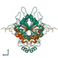 Hetero tetrameric assembly 1 of PDB entry 1sc4 coloured by chemically distinct molecules, side view.