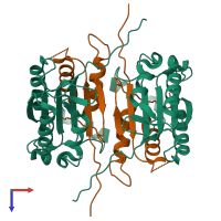 Hetero tetrameric assembly 1 of PDB entry 1sc4 coloured by chemically distinct molecules, top view.