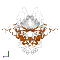 Caspase-1 subunit p10 in PDB entry 1sc4, assembly 1, side view.