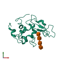 Monomeric assembly 1 of PDB entry 1sf6 coloured by chemically distinct molecules, front view.