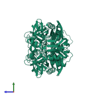 Alanine racemase in PDB entry 1sft, assembly 1, side view.