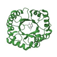 The deposited structure of PDB entry 1sgj contains 1 copy of SCOP domain 51638 (HpcH/HpaI aldolase) in Citrate lyase subunit beta-like protein. Showing 1 copy in chain A.