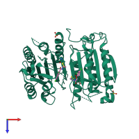 Homo dimeric assembly 1 of PDB entry 1shj coloured by chemically distinct molecules, top view.