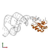 U1 small nuclear ribonucleoprotein A in PDB entry 1sj3, assembly 1, front view.
