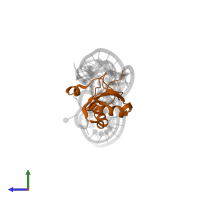 U1 small nuclear ribonucleoprotein A in PDB entry 1sj3, assembly 1, side view.