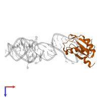 U1 small nuclear ribonucleoprotein A in PDB entry 1sj3, assembly 1, top view.