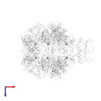 ZINC ION in PDB entry 1sku, assembly 1, top view.