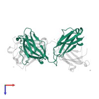 Ig lambda-1 chain V region in PDB entry 1sm3, assembly 1, top view.