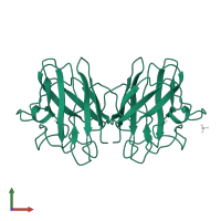 Superoxide dismutase [Cu-Zn] in PDB entry 1sos, assembly 1, front view.
