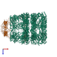 Hetero 21-meric assembly 1 of PDB entry 1sx4 coloured by chemically distinct molecules, top view.