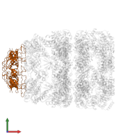 Co-chaperonin GroES in PDB entry 1sx4, assembly 1, front view.