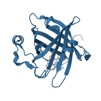 The deposited structure of PDB entry 1sxy contains 1 copy of Pfam domain PF02087 (Nitrophorin) in Nitrophorin-4. Showing 1 copy in chain A.