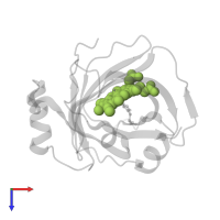 PROTOPORPHYRIN IX CONTAINING FE in PDB entry 1sxy, assembly 1, top view.