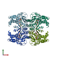 PDB entry 1t2a coloured by chain, front view.