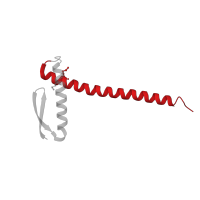 The deposited structure of PDB entry 1t3u contains 4 copies of CATH domain 1.20.5.50 (Single alpha-helices involved in coiled-coils or other helix-helix interfaces) in Cell division protein ZapA. Showing 1 copy in chain B.